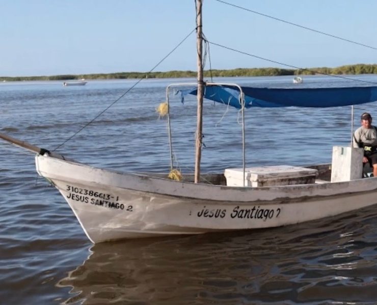 Yucatán impulsa su pesca: aumenta la cuota de pulpo a 32 mil toneladas