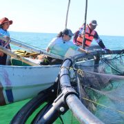 Convocan al Premio Estatal de Pesca y Acuacultura Ejemplar 2025