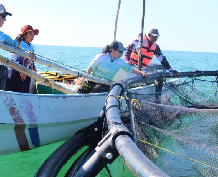 Convocan al Premio Estatal de Pesca y Acuacultura Ejemplar 2025