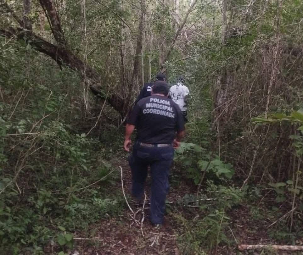 Ataque de abejas cobra la vida de adulto mayor en Yucatán