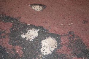 Habitantes de Bellavista solicitan la intervención de autoridades para atender el abandono del campo de fútbol y recuperar un área segura de recreación para la comunidad.