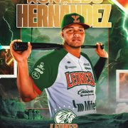 La receptoría melenuda se hace más fuerte: Catcher colombiano Ronaldo Hernández
