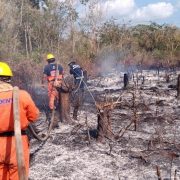Cerca de 100 incendios golpearon la Península en 2025