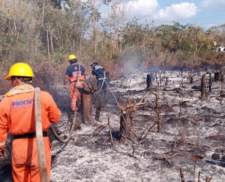 Cerca de 100 incendios golpearon la Península en 2025