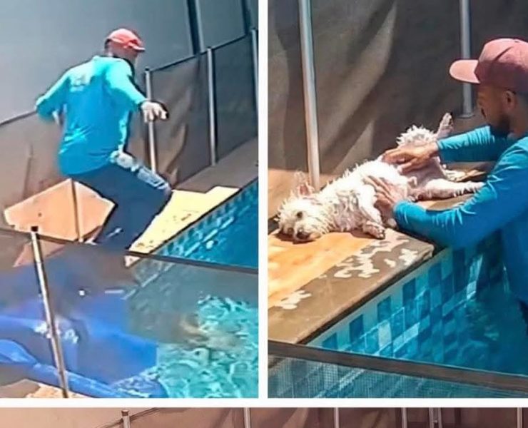 Hombre se lanza sin pensar y salva la vida de un perrito