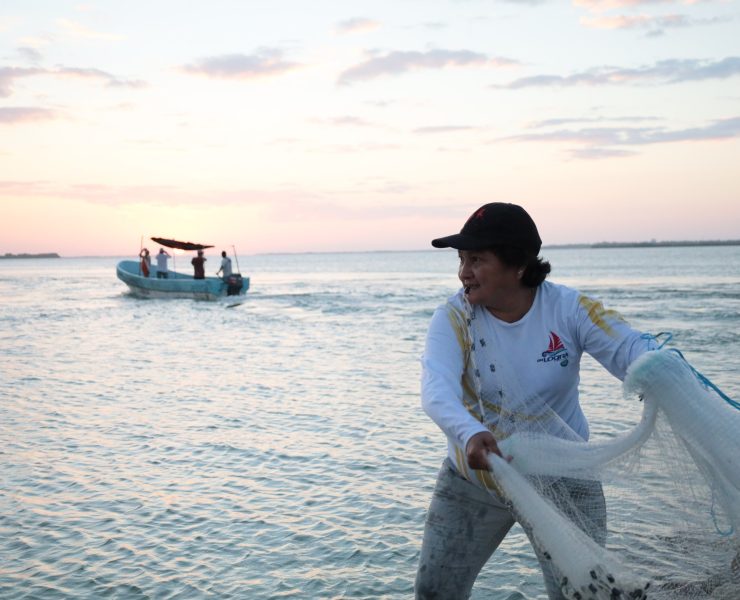 Inicia en febrero la entrega del programa Respeto la Veda 2026