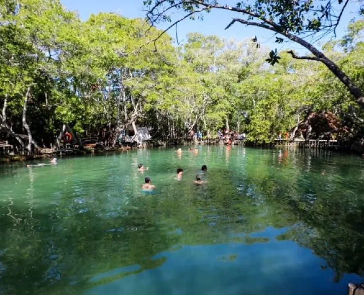 Servicios esenciales en día inhábil garantizados