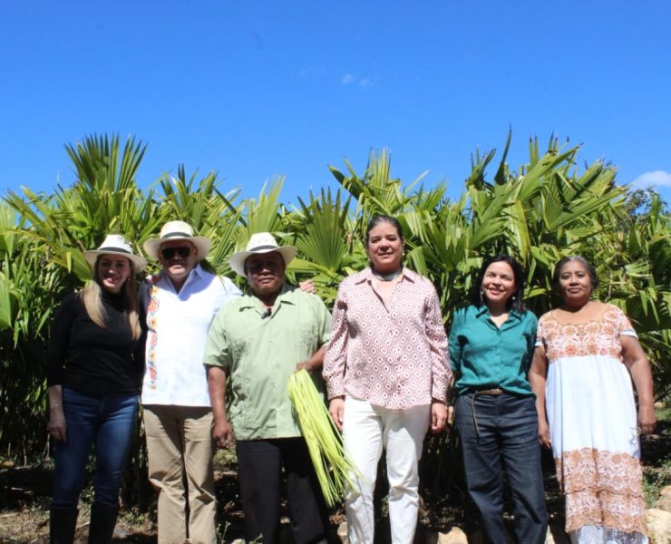 Gobierno impulsa rescate del tejido de jipijapa en Halachó