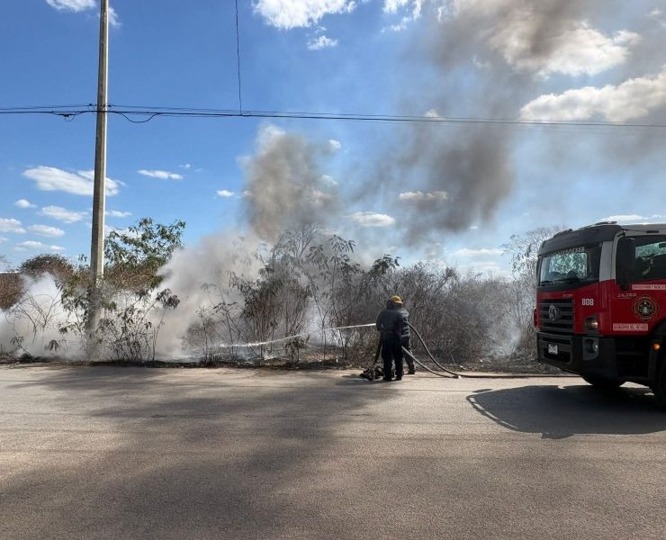 Incendio Controlado en Reserva Cuxtal Protege Pulmón Verde Vital