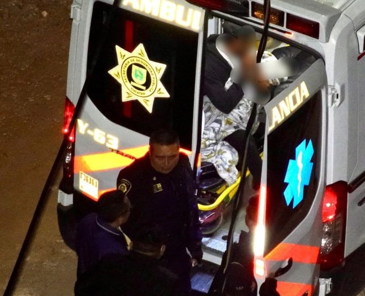 Mateo aparece con vida tras perderse en el monte