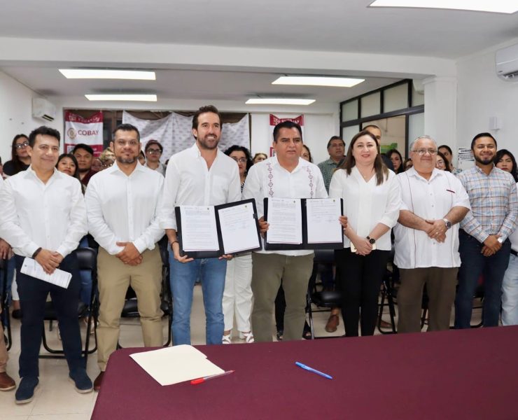 Paneles Solares impulsan ahorro histórico en Cobay Yucatán