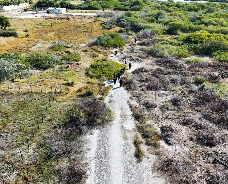 Profepa frena desmonte de manglar en Chelem con operativo