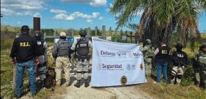 Elementos de la SSP, en coordinación con fuerzas federales, realizaron el operativo que derivó en el doble aseguramiento de presuntas sustancias ilícitas en el oriente de Yucatán.