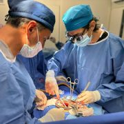 Un acto que salva vidas: Yucatán impulsa la donación en el Día Mundial del Trasplante de Órganos y Tejidos