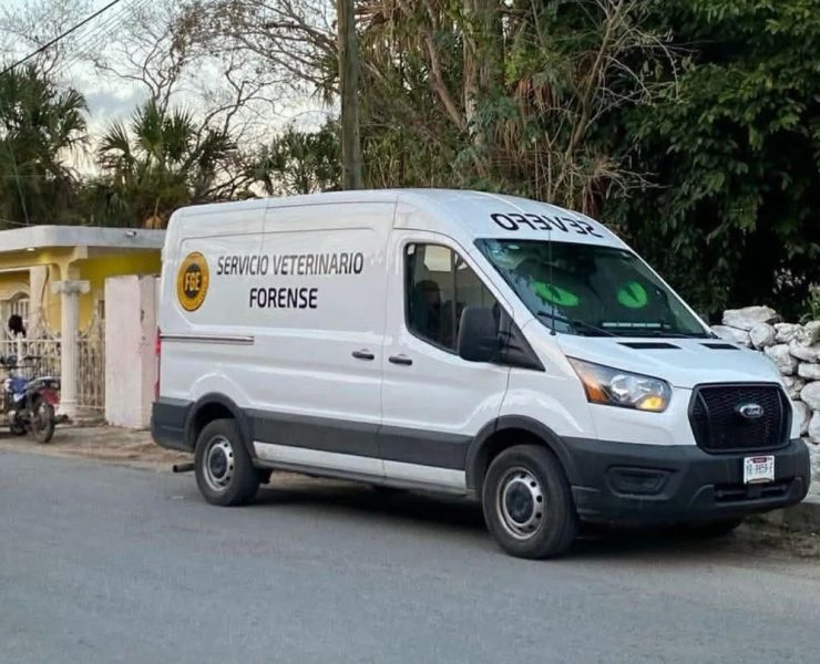 Crueldad Alarmante: Animales envenenados y gallos muertos preocupan en Cacalchén