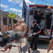 Caída Impactante de un árbol: Hombre lesionado tras accidente en Chichimilá