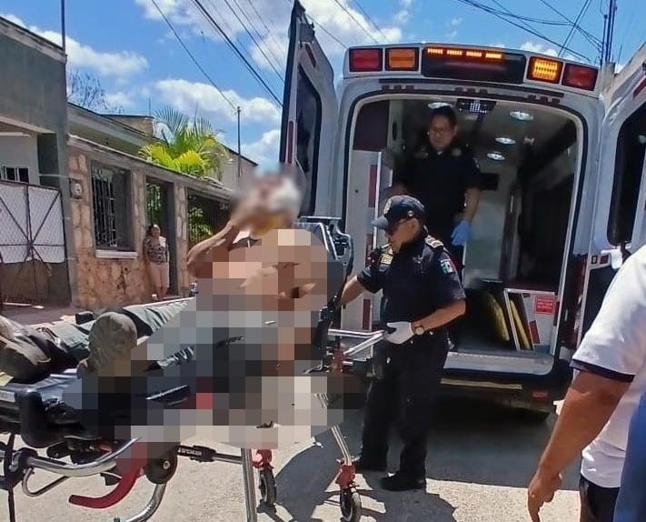 Caída Impactante de un árbol: Hombre lesionado tras accidente en Chichimilá