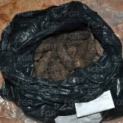 Detienen mototaxi con 23 Kilos de Pepino de Mar