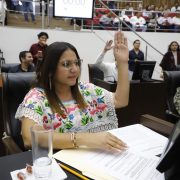 Dignidad para personas con discapacidad: Congreso impulsa justicia social y derechos laborales