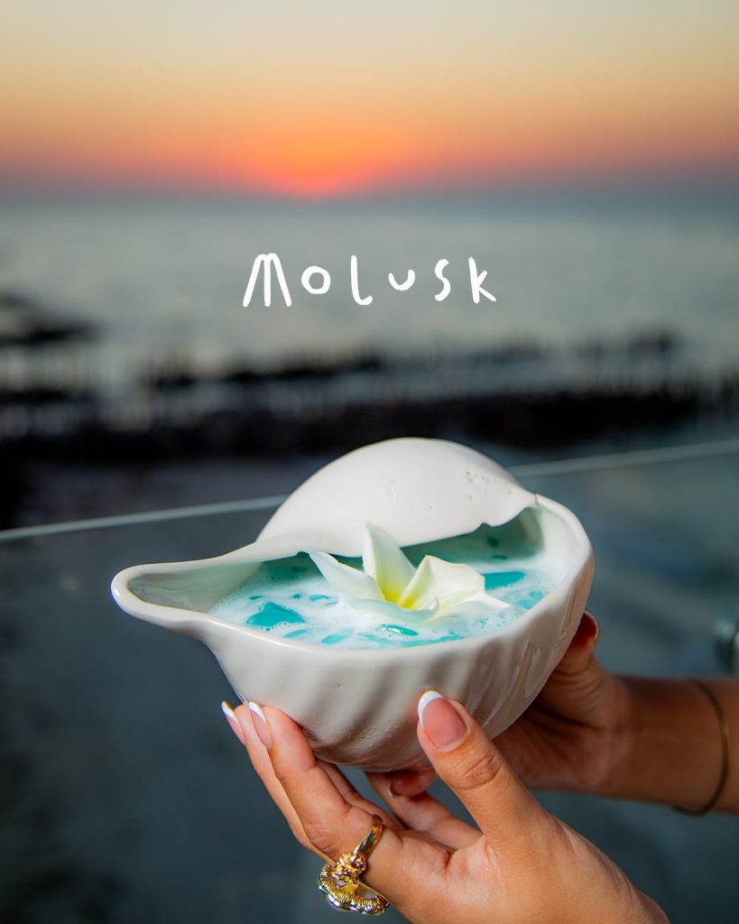 primer aniversario de Molusk