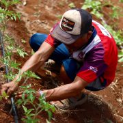 Huertos de Traspatio generan ingresos y bienestar para familias de Temozón