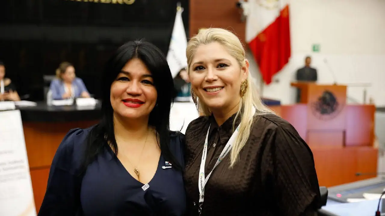 La Paridad en el Senado transformó la toma de decisiones legislativas