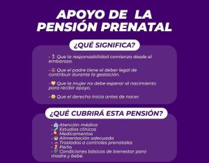 Durante su intervención en el Congreso del Estado de Yucatán, Marité Boehm Calero destacó que la pensión prenatal busca garantizar apoyo económico a las mujeres durante el embarazo y fortalecer la protección a la maternidad en Yucatán.