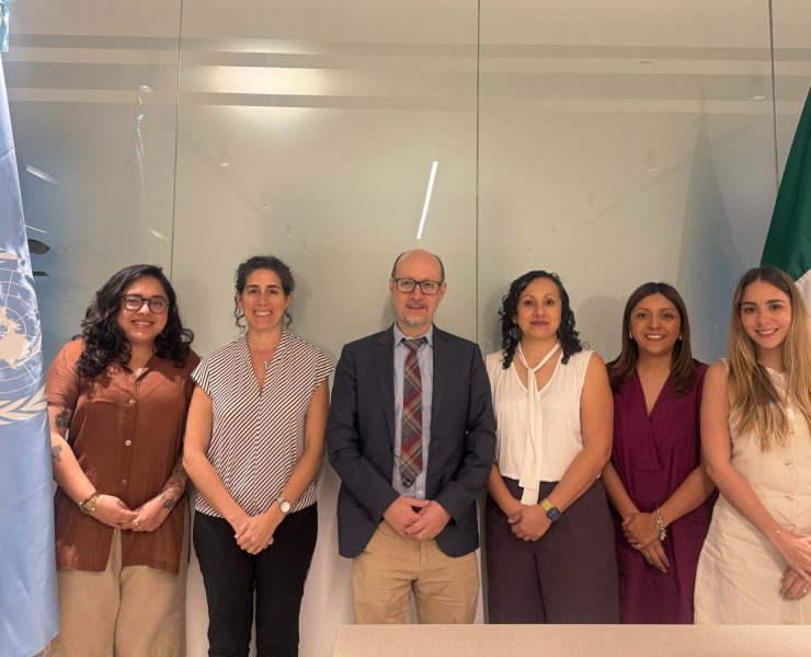 Medio ambiente avanza retos protección sustancias peligrosas Yucatán ONU