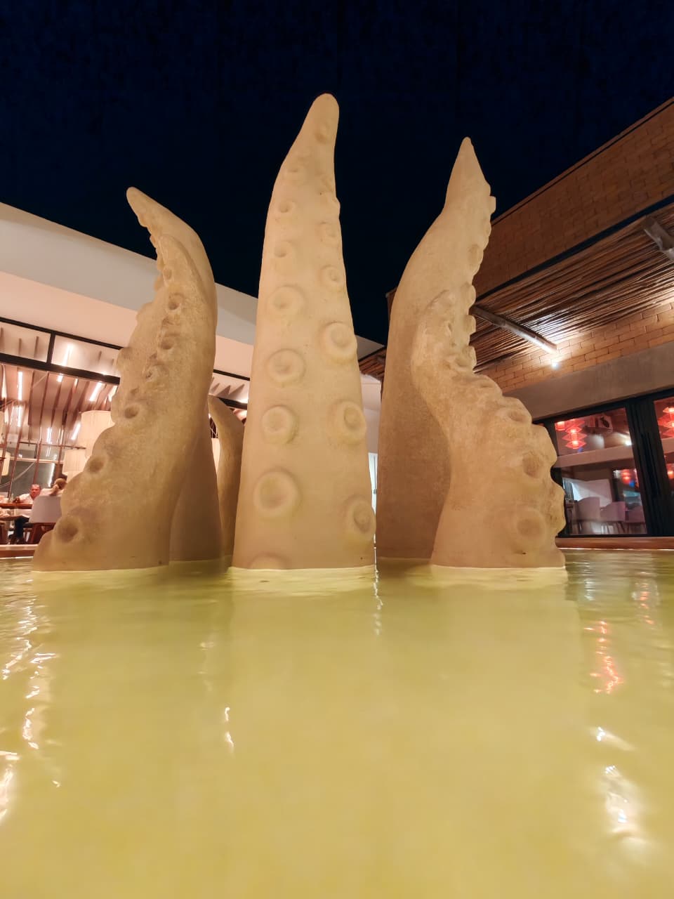 Promociones y música en vivo