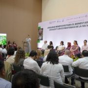 Yucatán impulsa alianza regional histórica para proteger la selva maya