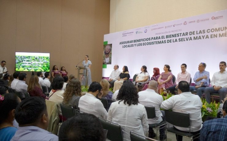 Yucatán impulsa alianza regional histórica para proteger la selva maya
