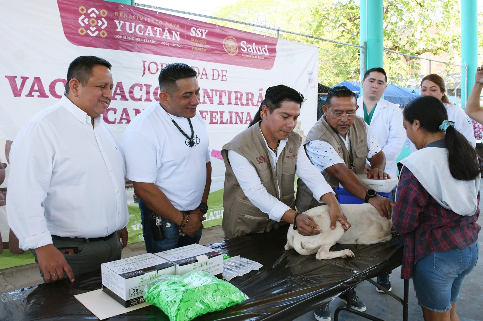 Yucatán impulsa vacunación masiva antirrábica para proteger mascotas y población