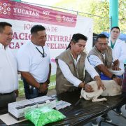 Yucatán impulsa vacunación masiva antirrábica para proteger mascotas y población