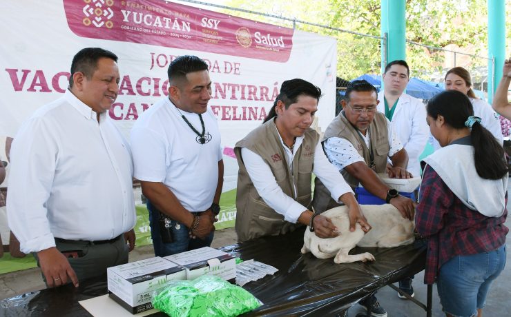 Yucatán impulsa vacunación masiva antirrábica para proteger mascotas y población