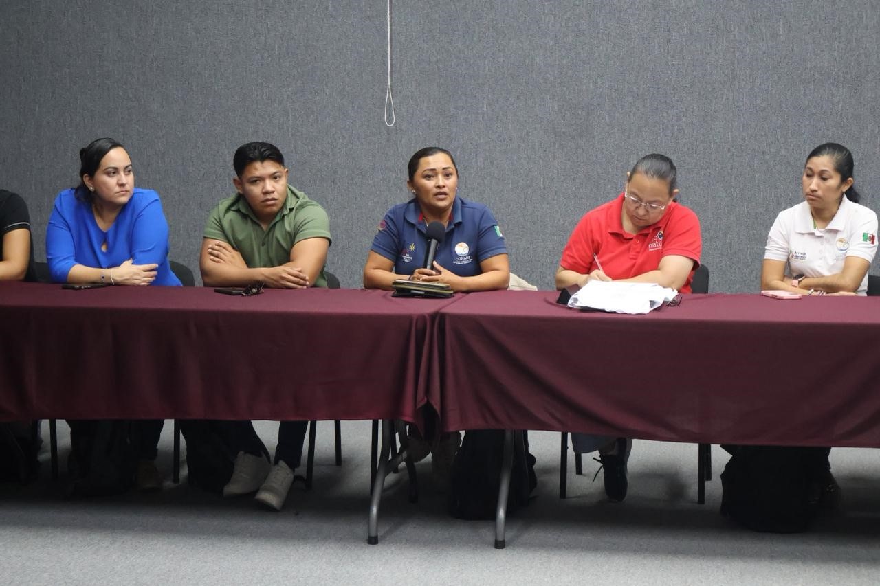 Tortugas marinas: Yucatán inicia histórica temporada de anidación marina