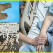 ¡Alerta en Yucatán! Confirman primera muerte por gusano barrenador