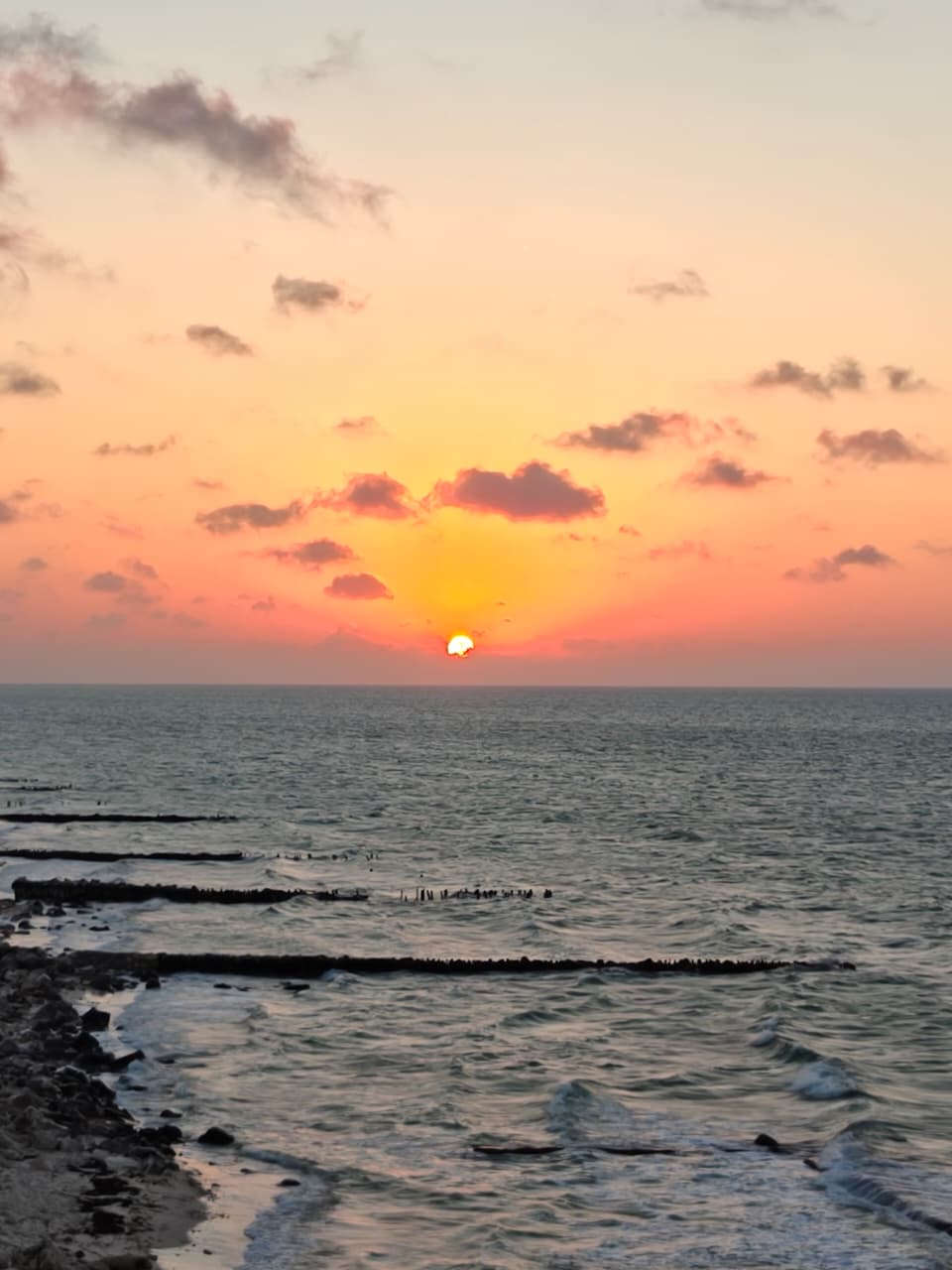 Nueva etapa para Molusk