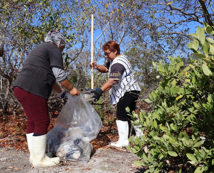 Yucatán y Campeche rompen fronteras para salvar la naturaleza