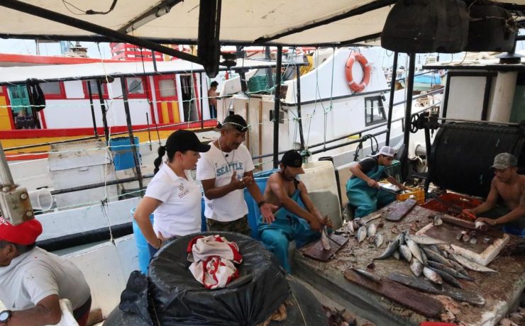 Comienza temporada de mero en Yucatán con pesca responsable