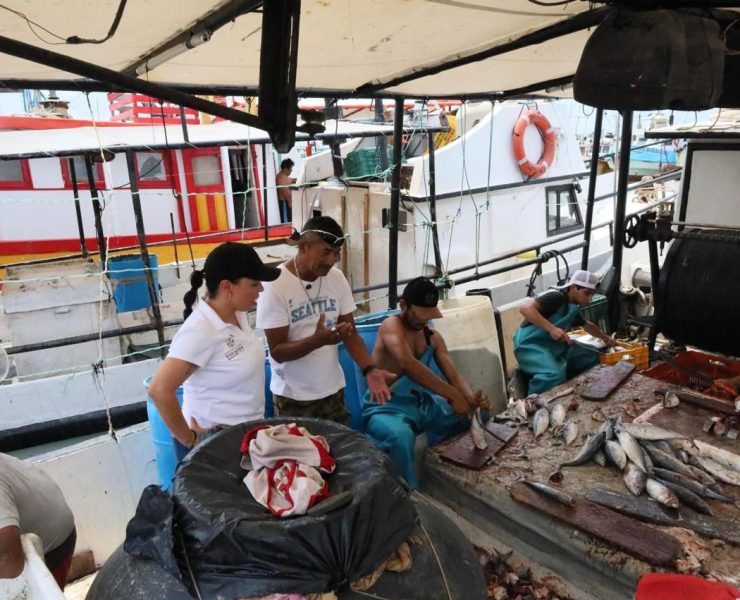 Comienza temporada de mero en Yucatán con pesca responsable