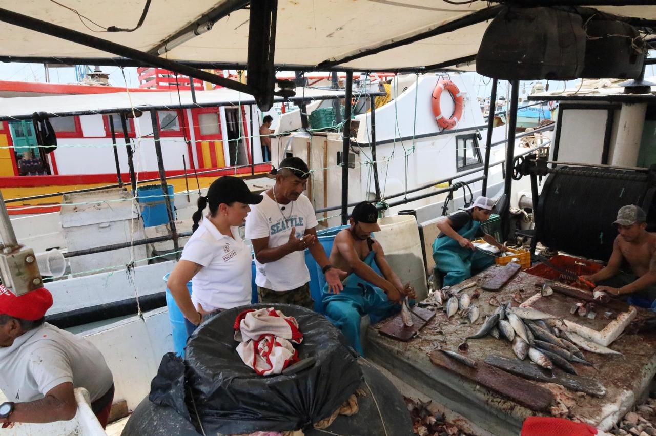 Comienza temporada de mero en Yucatán con pesca responsable