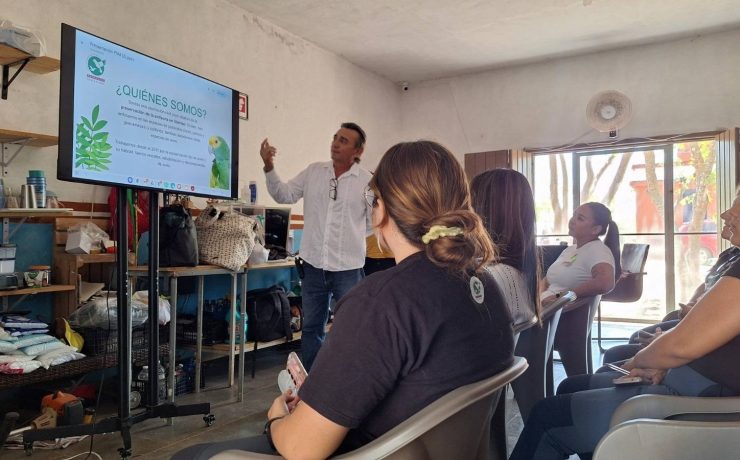 Conservación de loros internacional llega a Yucatán con especialistas