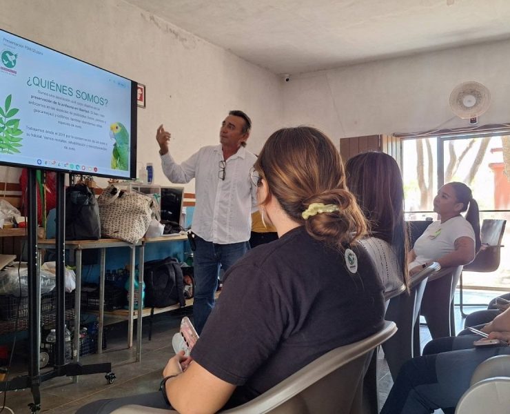 Conservación de loros internacional llega a Yucatán con especialistas