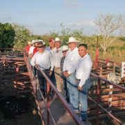 Impulso Rural: Desarrollo social y ganadero transforma Panabá Yucatán