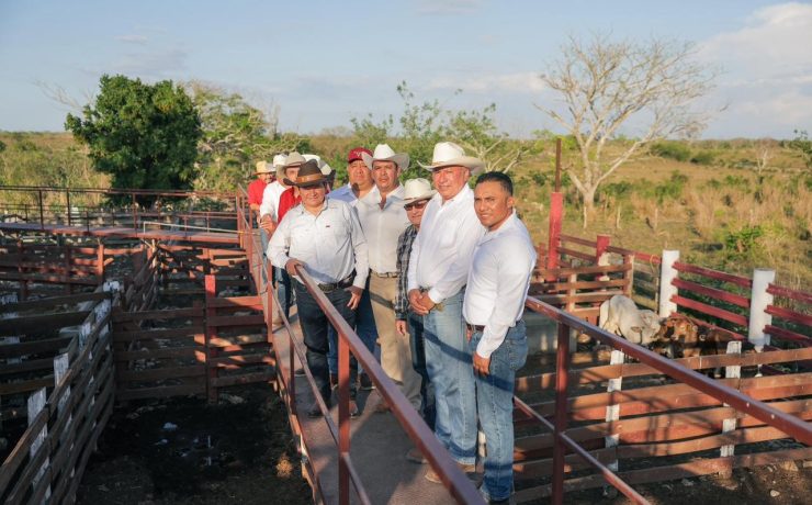 Impulso Rural: Desarrollo social y ganadero transforma Panabá Yucatán