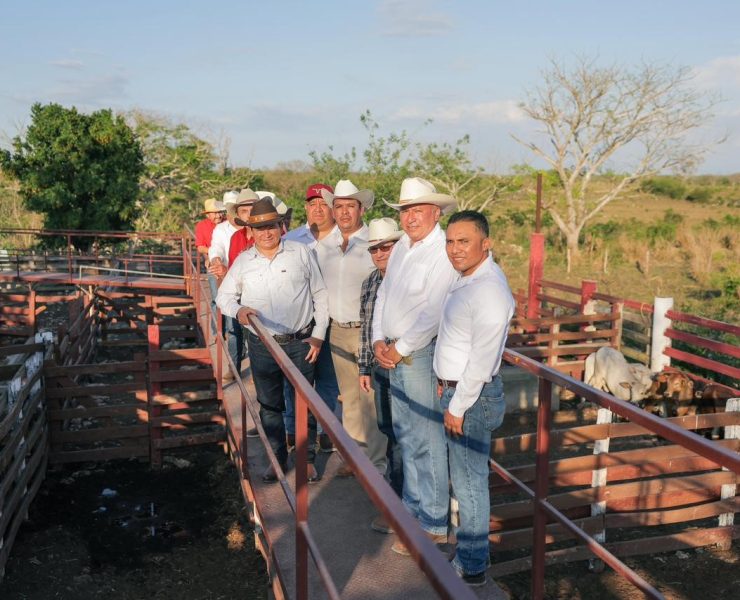Impulso Rural: Desarrollo social y ganadero transforma Panabá Yucatán