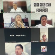 IEPAC Yucatán constatará afiliaciones en partidos en formación