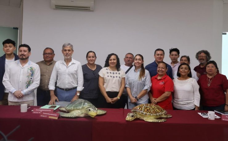 Protección Vital: Inicia temporada de anidación de tortugas marinas en Yucatán