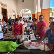 Yucatán impulso fuerte control de perros y gatos: 1,029 cirugías y 16,314 vacunas antirrábicas
