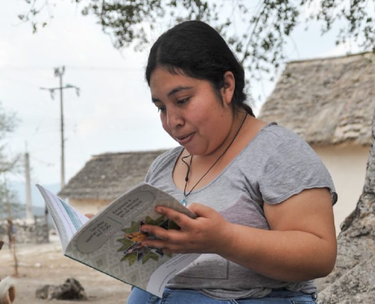 Alfabetización YA: Jornada nacional impulsa aprendizaje en Yucatán